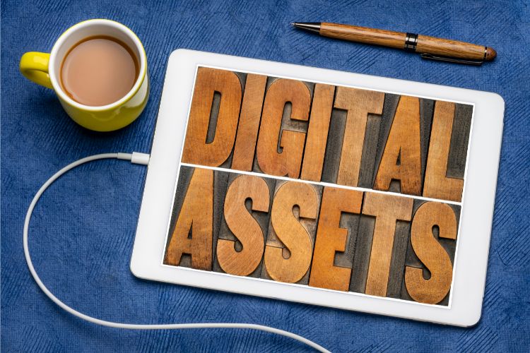 Understanding the Spectrum of Digital Assets