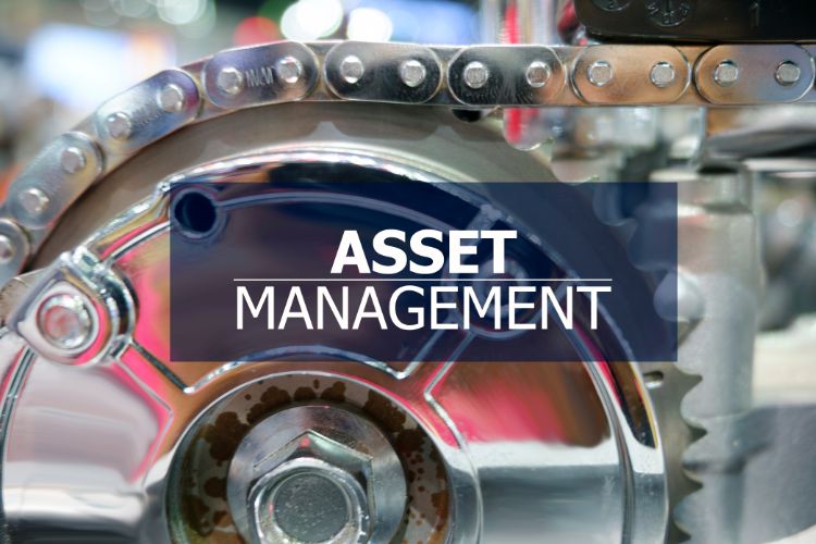 3. Long-Term Asset Management and Growth: