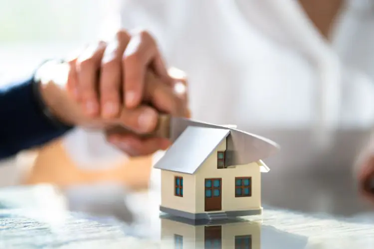 2. Asset Division and Ownership: