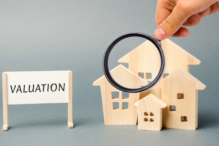 Professional Valuation of Assets