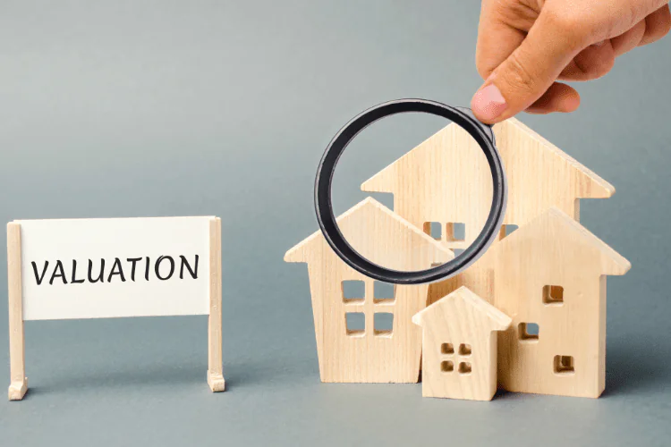 Professional Valuation of Assets