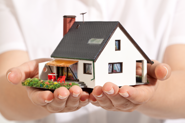 Common Assets to Place in an LLC